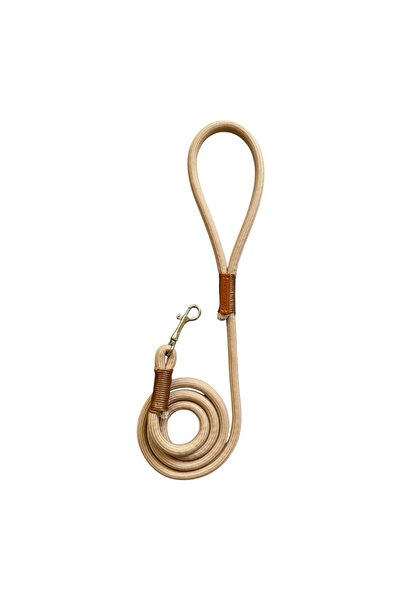 Patilux Pet Co TASMA İPİ