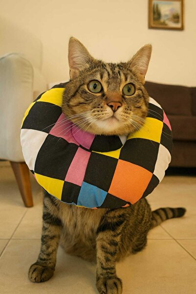 yalıpet Kedi ve Köpek Elizabeth Koruyucu Yakalık Tırnak Kesme Boyunlugu