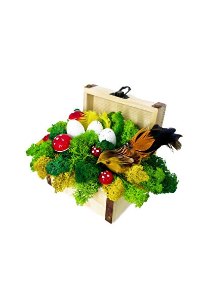 velve Handmade decoration with stabilized lichens and decorative elements, Multicolor