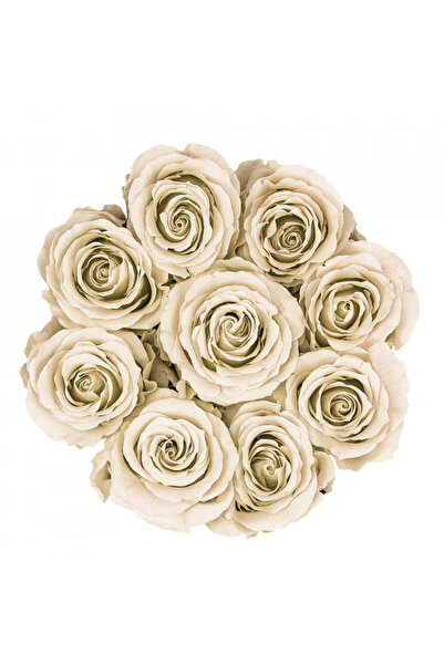 velve Floral arrangement with 9 soap roses, in a round black box, cream, Cream