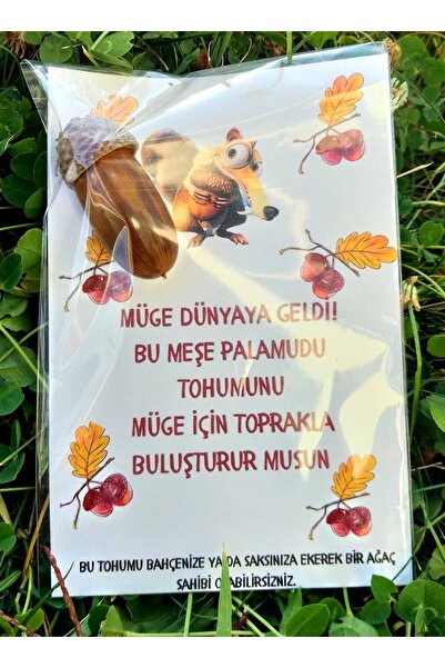 defnestand DaphneDijital 20 li Tohumlu Özel Gün Hediyeliği-Doğum Günü, Söz, N...