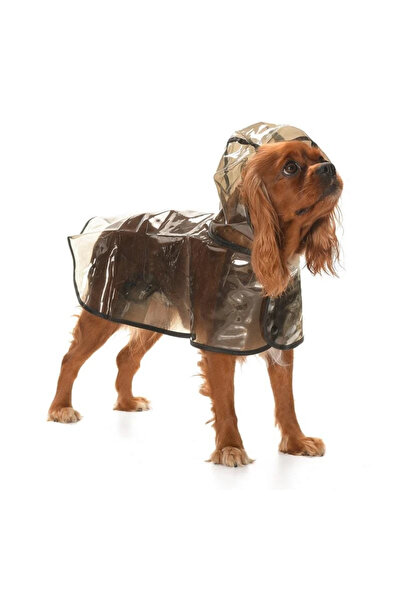 AboutThePerfect Şeffaf yağmurluk, küçük ve orta boy köpekler için çok renkli üst giyim