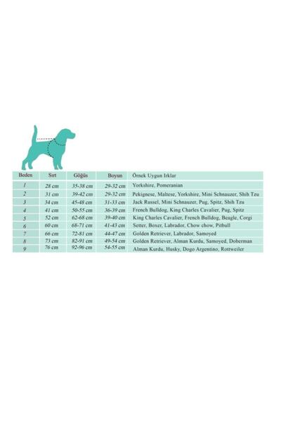 AboutThePerfect Küçük/orta ırk köpekler için su geçirmez siyah kapşonlu mont