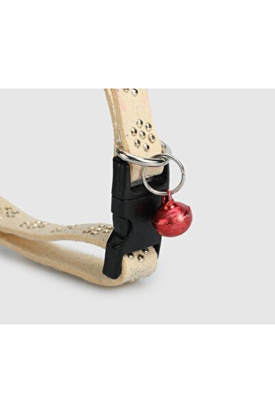 Provoq Bej T1059 Bej Taşlı İnceTasma Kedi