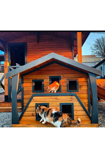 AboutThePerfect Şık kahverengi ahşap kedi kulübesi, doğal ve dayanıklı tasarım