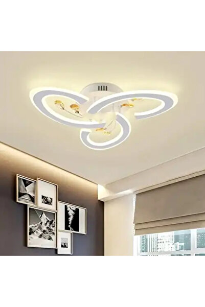 LED CONCEPT LED chandelier with three types of light, remote control, adjustable intensity, 104W, 50x50x8cm