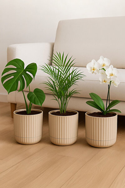 TEMMUZ HOME Zeraf Saksı No:2–3 Adet 2.6 Litre Tabaklı Masa veSehpa Üzeri Saks...