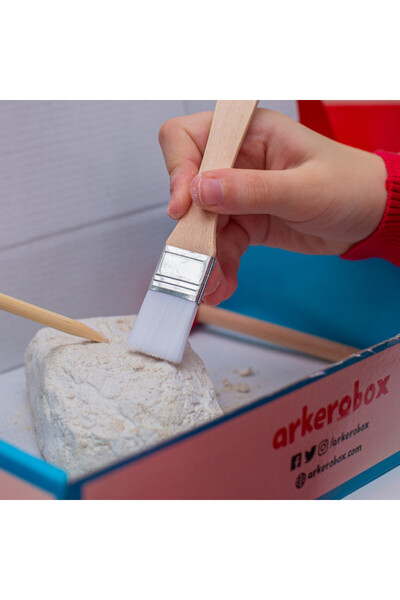 arkerebox Set arheologic educațional și puzzle 3D, Petra