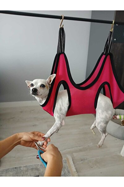 AboutThePerfect Kedi ve köpek bakım hamakı ve 2'li çelik askı kanca, kırmızı ...