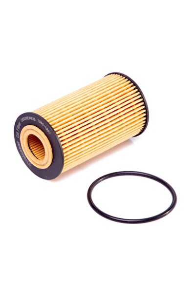 Dreissner Filtru de ulei (echivalent Mann HU 612/2 X)