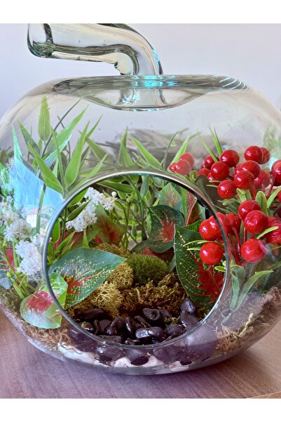 QUALITYHOME YENİ NESİL TERARYUM KIRMIZI DOĞA TEMALI HEDİYE OFİS EV DEKOR CAM ...