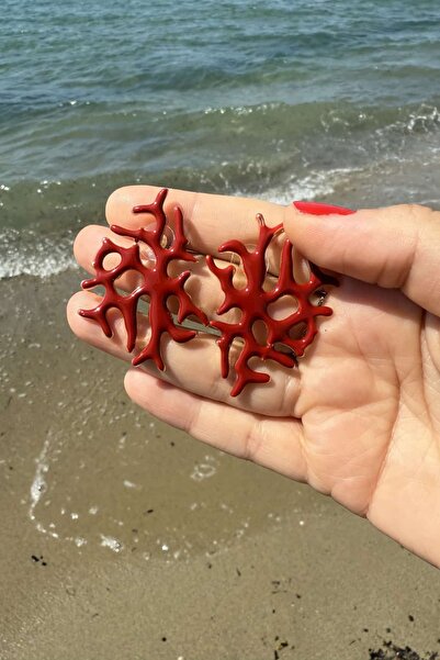 My Joyas Design Zr Model Coral Earrings