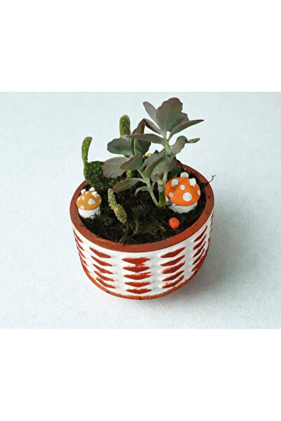 HARTOPİA Kalp Desenli Eskitme Silindir Saksıda Canlı Sukulent & Mini Kaktüs A...