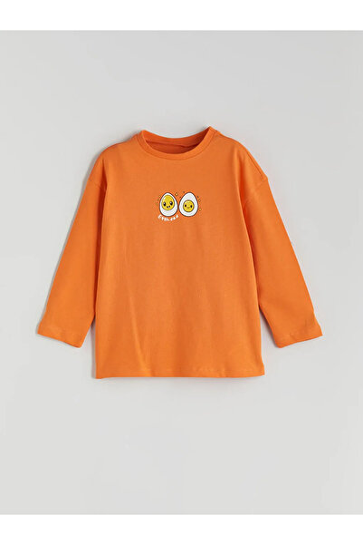 LC Waikiki Crew Neck Printed Boy's T-Shirt