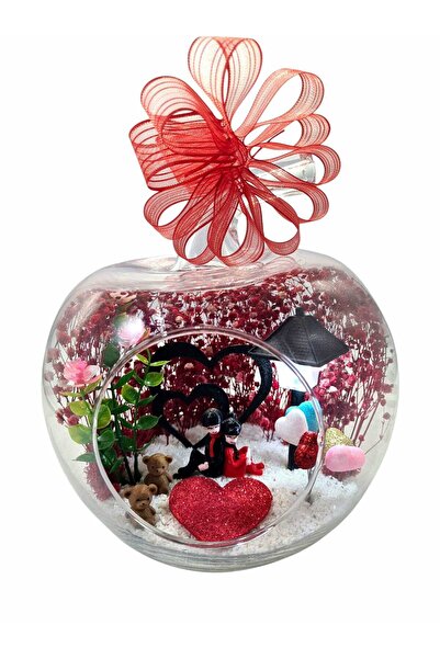 maya sanat Teraryum Sukulentler Kırmızı Aşk Bahçesi Elma Cam Fanus Sevgiliye Hediye Sevgililer Günü Işıklı