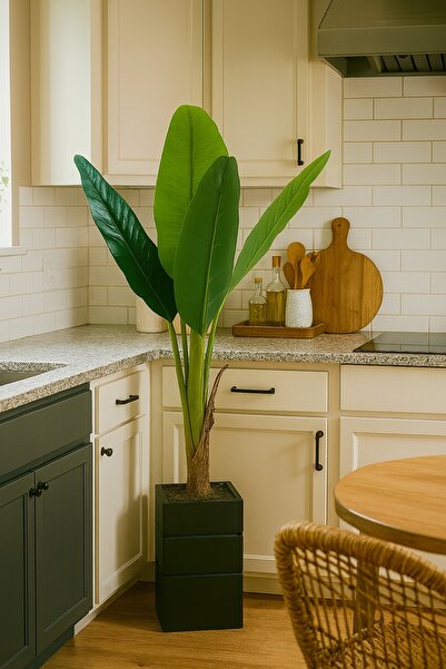 moysahsap party&ahşap Mutfak için Yapay Muz Ağacı Gerçek Görünüm 130 Cm Doğal Ahşap Saksılı