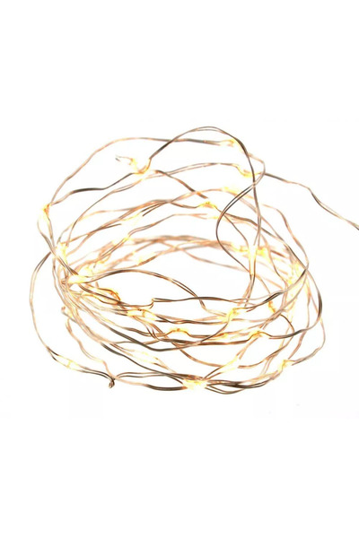 OEM Light garland 30 white micro LEDs high brightness warm light WELL
