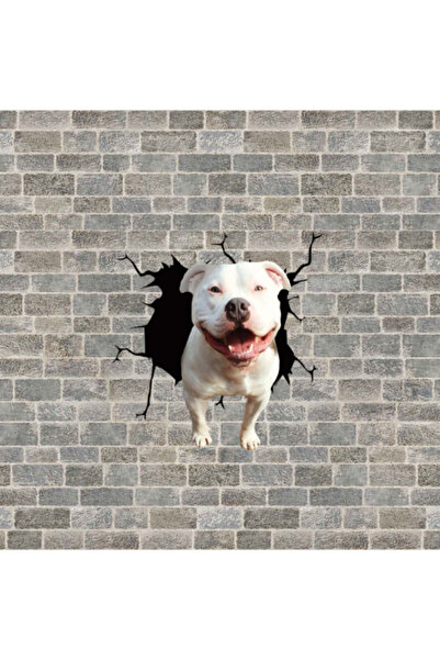 ORIGINAL DEALS Autocolant decorativ pentru casă sau mașină cu câine Pitbull T...