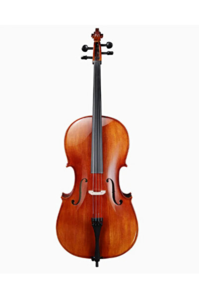 Picaldi CG010EHP 4/4 Çello