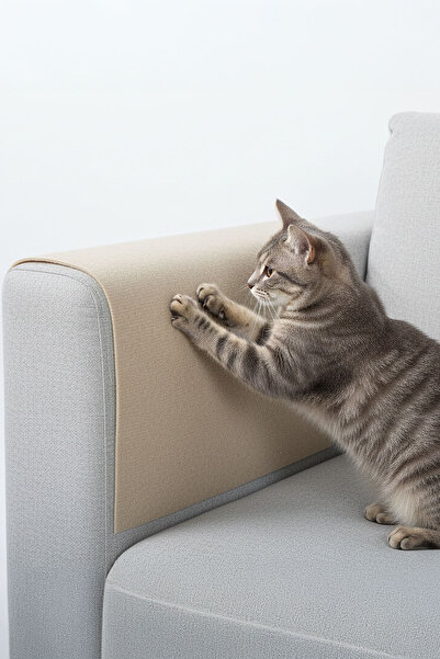 Arnee 5 قطع من واقي مقعد القطط المصنوع من اللباد مقاس 40×50 سم، سجادة لاصقة لحماية الأثاث من الخدوش