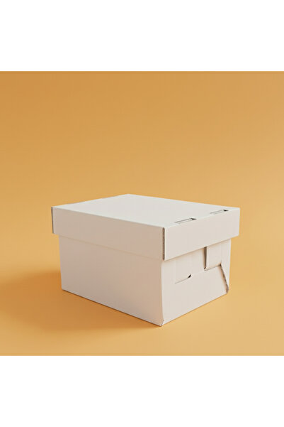 BOXMASTER-KOLİKAPINDA Çok Amaçlı-Saklama-Hediye Kutusu-Büyük BEYAZ-27x44x20cm...