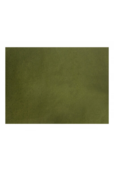 Raki Paper table plate holder 33x44cm green color set of 250pcs