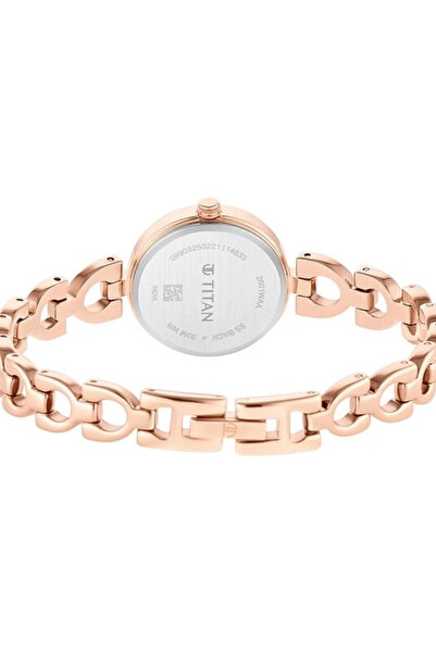 Titan Women's Analog Brown Dial Watch - 2601WM04