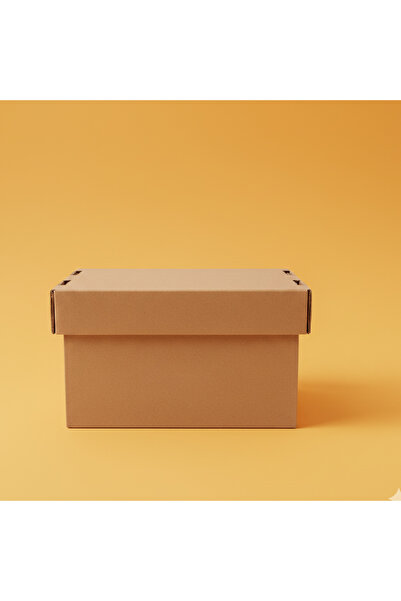 BOXMASTER-KOLİKAPINDA Çok Amaçlı-Saklama-Hediye Kutusu-Orta-24x36x18cm-ARŞİV ...