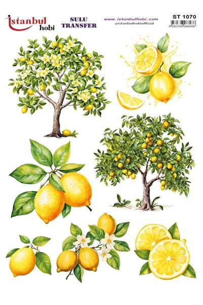 İstanbul Hobi ورق نقل مائي 25x35 سم ST-1070