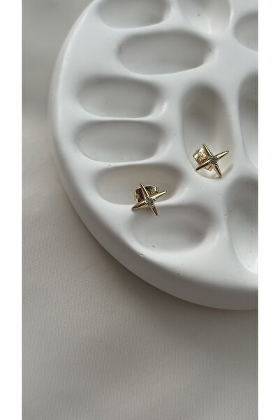 SteelbyBD Çelik Kararmaya Dayanıklı Işıltı Model Minik Taşlı Gold Küpe