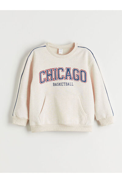 LC Waikiki Sparkling Selections from Shining Store |   Crew Neck Boy's Sweatshirt