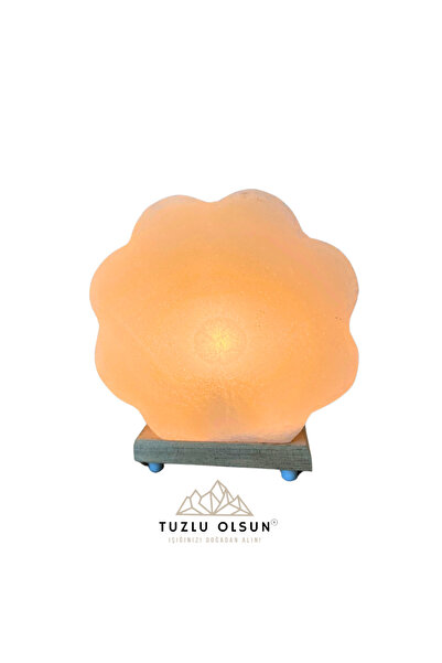 Tuzlu Olsun BULUT MODEL TUZ LAMBA AÇMA KAPAMA ANAHTARLI KAYA TUZU