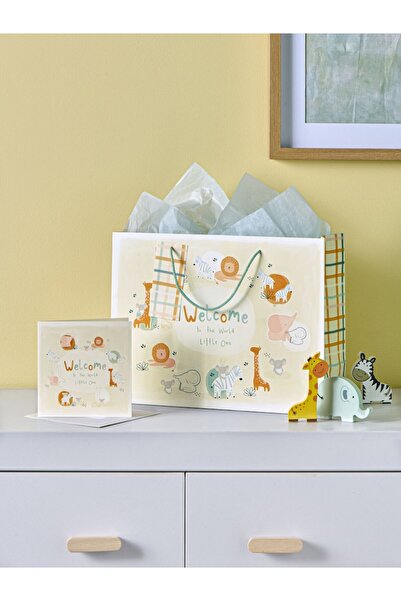 Next Baby Premium Newborn Gift Bag and Card Set