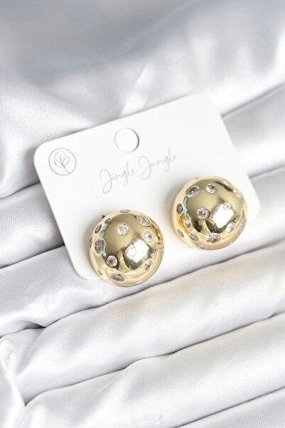 Clariss Brass Gold Color Zircon Stone Women's Earrings