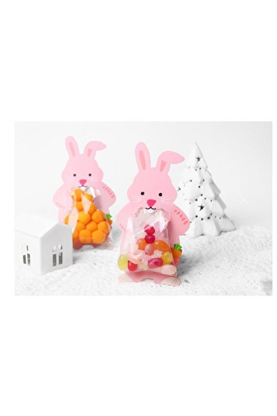 mutlu adım 10 Adet 7,3x13,5cm Hayvanlar Alemi Karton Süs ve Jelatin Tavşan