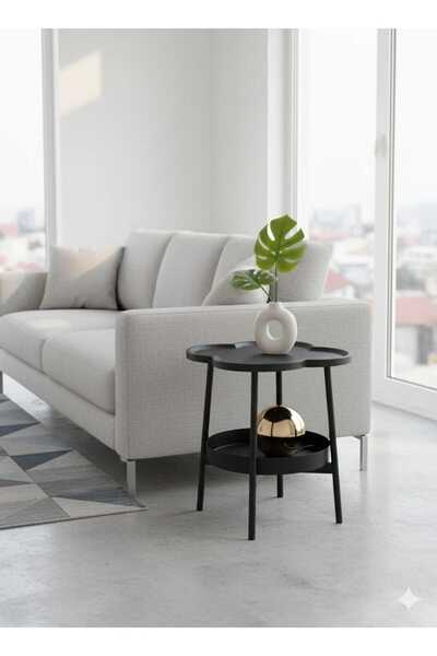 Golden Bark Modern Design Tea and Coffee Side Table with Lower Storage Shelf - Black