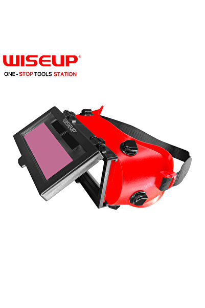 WISEUP electronic glasses