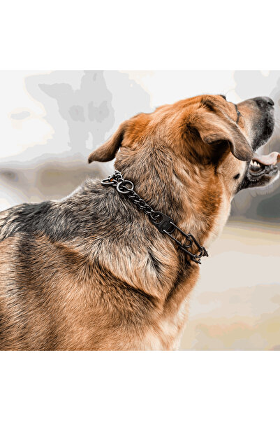 Sprenger Zgarda Dresaj Inox Negru 4mm/63cm