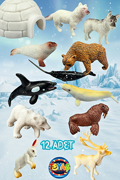 Toyaş 12 Parça Mini Okyanus Canlıları Su Altı Dünyası ve Antarktika Canlıları...