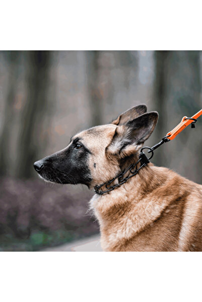 Sprenger Zgarda Dresaj Inox Negru 3.2mm/58cm Sistem ClickLock