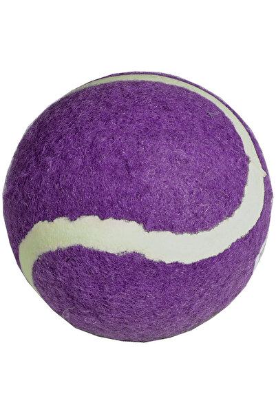 Other Minge de tenis ENERO 1 buc - violet