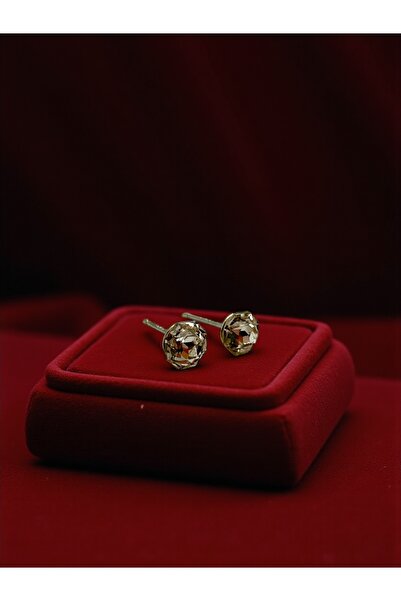 FUYA JEWELLERY 925 Ayar Gümüş Renkli Taşlı Küpe