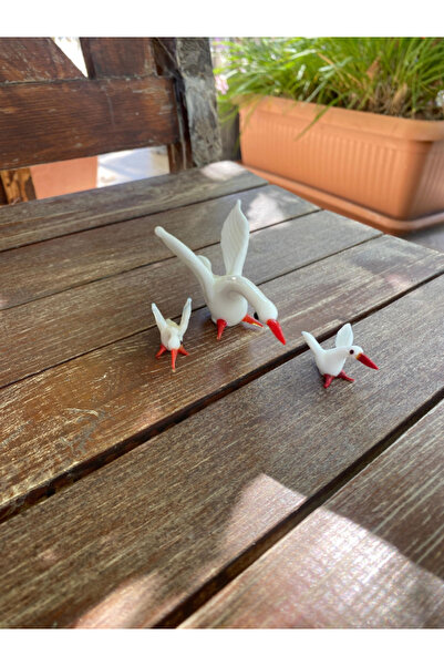 Arsin Sanat Cam Biblo Kaz Ailesi