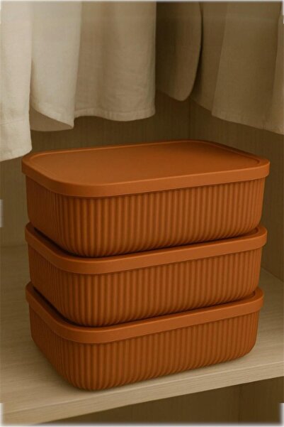 Bayev Colors Orange 3 Pieces 3.2 Lt Closet Organizer Organizer Toy Box Storage Box with Lid