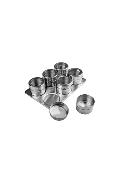WDR Set condimente WDR, 6 recipiente, din Inox cu suport magnetic, Argintiu