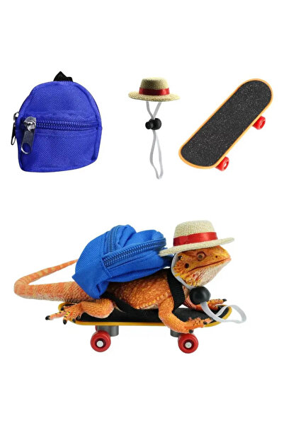 Lady Fify Sakallı Ejder ve Küçük Sürüngenler için 3’lü Aksesuar Seti — Sırt Ç...