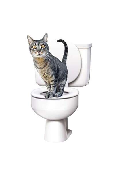 OEM FOXMAG24 Citi Kitty toilet training kit for cats, 3 months+
