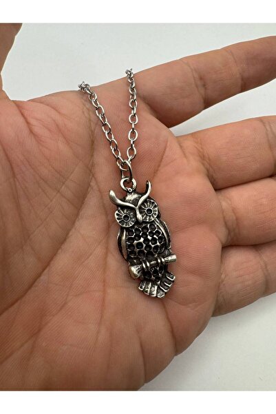 Yuchicly قلادة للرجال والنساء على شكل بومة قديمة - علامة الحكمة والحماية والط...
