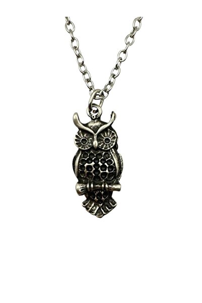 Herşey Nota قلادة للجنسين على شكل بومة قديمة - رمز للحكمة والحماية والطاقة ال...