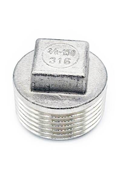 Other 3/4” male rimmed plug, stainless steel